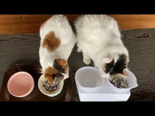 ギャラリービューア【大パック500g】季節の小魚フローズン(フリーザーバッグ冷凍) #GJ42に読み込んでビデオを見る