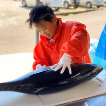 画像をギャラリービューアに読み込む, 1泊食事付なんでも体験プラン(ペット宿泊OK) - 熊野灘でとれた猫ごはん