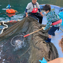 画像をギャラリービューアに読み込む, 1泊食事付なんでも体験プラン(ペット宿泊OK) - 熊野灘でとれた猫ごはん