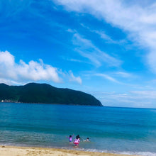 画像をギャラリービューアに読み込む, 1泊食事付なんでも体験プラン(ペット宿泊OK) - 熊野灘でとれた猫ごはん