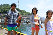 画像をギャラリービューアに読み込む, 1泊食事付なんでも体験プラン(ペット宿泊OK) - 熊野灘でとれた猫ごはん