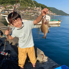 画像をギャラリービューアに読み込む, 1泊食事付なんでも体験プラン(ペット宿泊OK) - 熊野灘でとれた猫ごはん