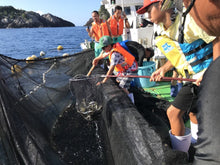 画像をギャラリービューアに読み込む, 【須賀利】なんでも漁村体験プラン(1泊食事付)