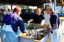 画像をギャラリービューアに読み込む, 【須賀利】なんでも漁村体験プラン(1泊食事付)
