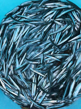 画像をギャラリービューアに読み込む, 【小小パック60gー85g】季節の小魚フローズン(真空冷凍) #YJ14