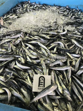 画像をギャラリービューアに読み込む, 【小小パック60gー85g】季節の小魚フローズン(真空冷凍) #YJ14