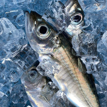 画像をギャラリービューアに読み込む, 【中パック350g】季節のお魚フローズン(真空冷凍) #QL23