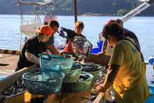 画像をギャラリービューアに読み込む, 【須賀利】なんでも漁村体験プラン(1泊食事付)