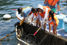 画像をギャラリービューアに読み込む, 定置網漁体験ツアー(BBQ朝ごはん付き) - 熊野灘でとれた猫ごはん