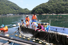 画像をギャラリービューアに読み込む, 定置網漁体験ツアー(BBQ朝ごはん付き) - 熊野灘でとれた猫ごはん