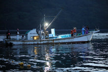 画像をギャラリービューアに読み込む, 定置網漁体験ツアー(BBQ朝ごはん付き) - 熊野灘でとれた猫ごはん