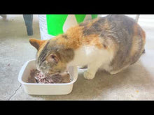 ギャラリービューア【小小パック65-80g】季節のお魚おまかせ(レトルト常温) #553Lに読み込んでビデオを見る