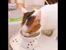 ギャラリービューアねこちゃんが夢中でお魚ごはんを食べています。に読み込んでビデオを見る