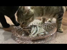 ギャラリービューア【小小パック65-80g】季節のお魚おまかせ(レトルト常温) #553Lに読み込んでビデオを見る