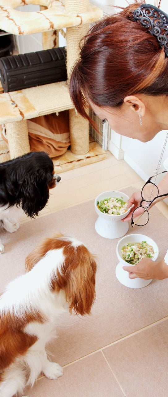 愛犬・オーガニック手作りごはんアドバイザー認定講座にお魚ごはんが登場します
