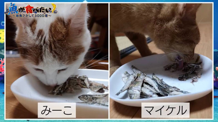 BS朝日で特集いただきました📺