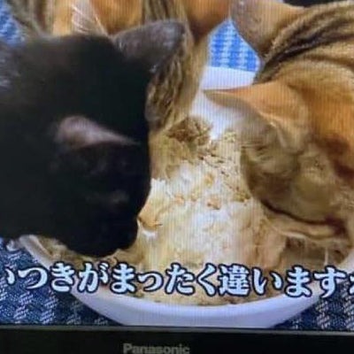 多くの方が定期購入を選ばれます