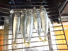 画像をギャラリービューアに読み込む, 【中パック350g】季節のお魚フローズン（真空冷凍） #QL23
